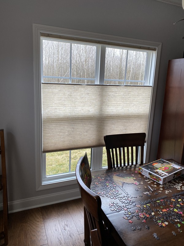 Top down bottom up cordless cell shades clarksville tn